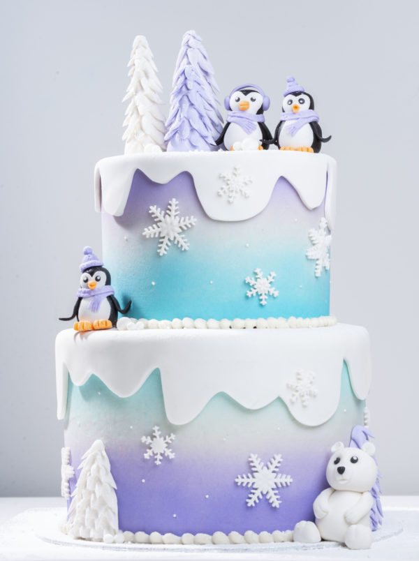 Winter Cake